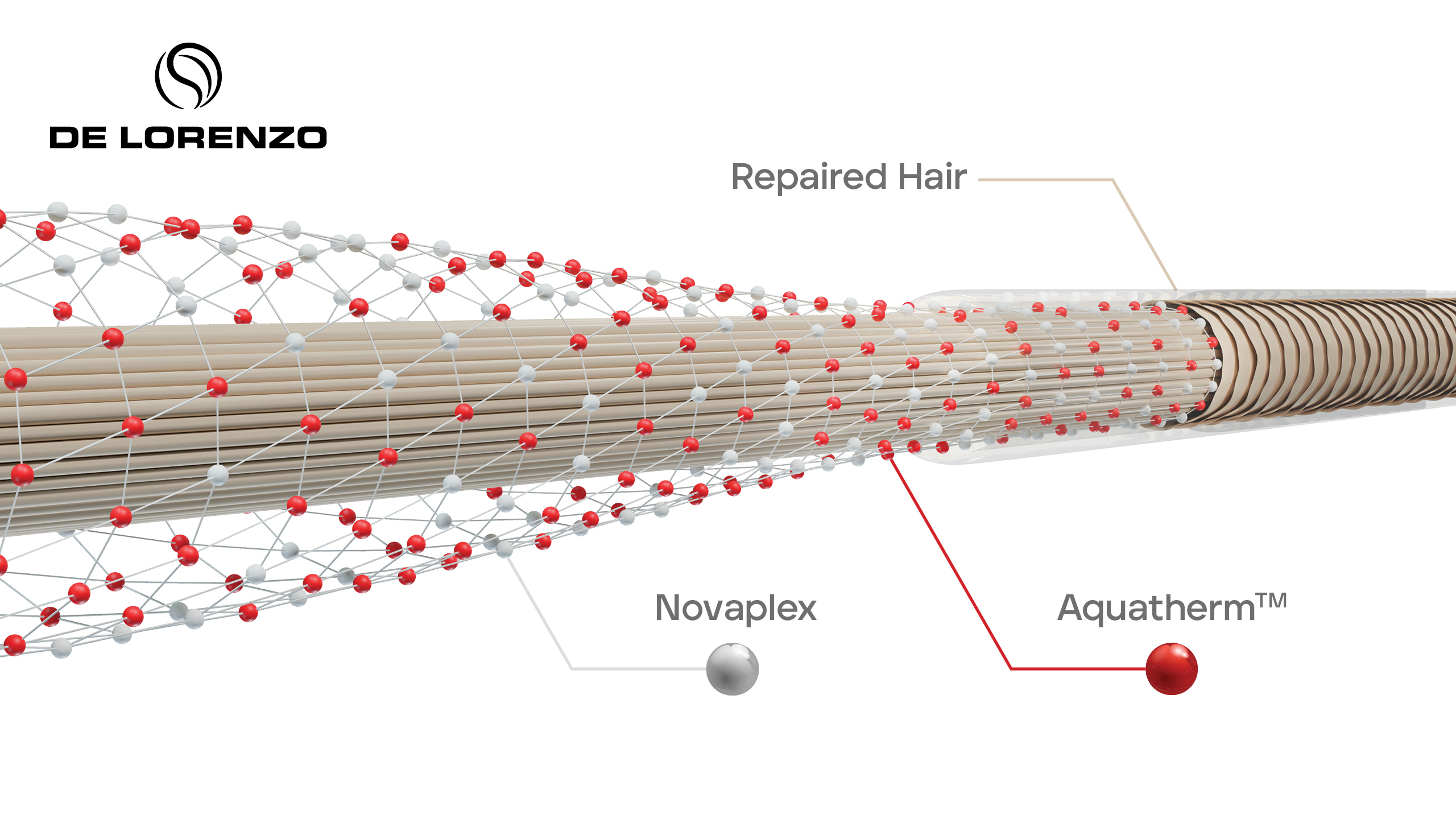 3D Hair Follicle Image