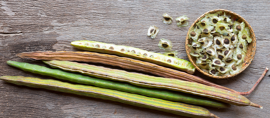 Moringa Seeds